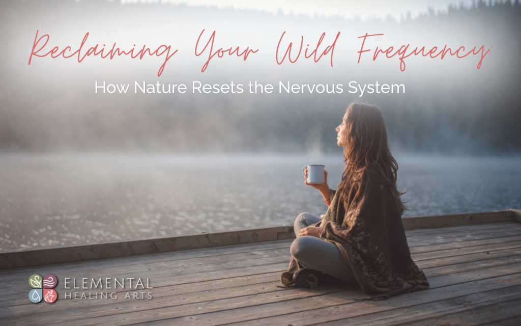 Reclaiming Your Wild Frequency